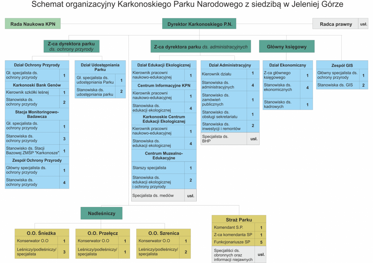 Schemat organizacyjny KPN