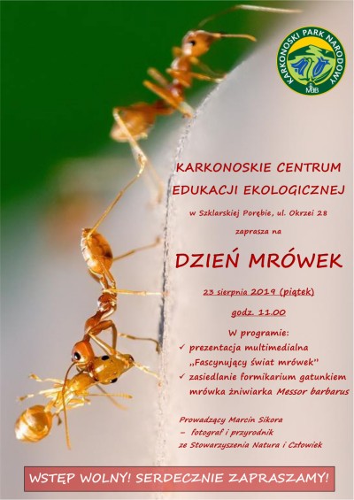 PLAKAT
