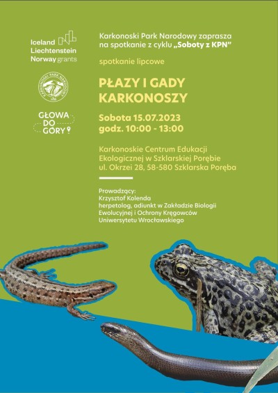 Plakat płazy i gady Karkonoszy 